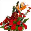 Natures Love - Click here to View more details about this Product